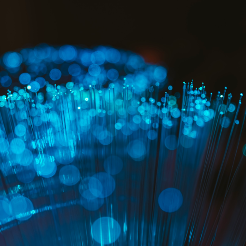 The network's added value